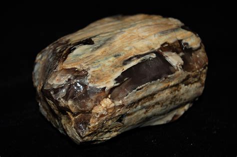 Petrified Wood Agate Natural Rough 1130 Gr Petrified Wood Wood Agate