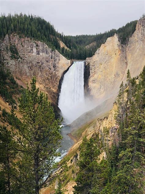 Yellowstone - Explore Yellowstone Like a Local