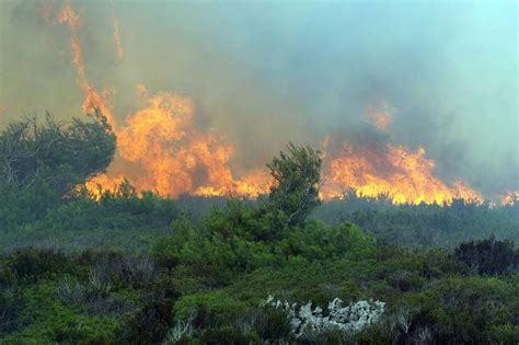 Galerija Slika Zrmanja Vrela Po Ar Gase Dva Air Tractora I Kanadera