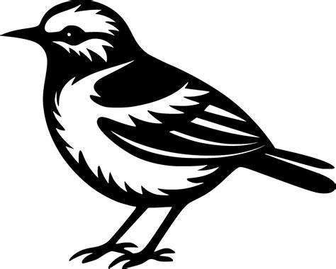 Bird, Black and White Vector illustration 26708449 Vector Art at Vecteezy