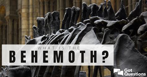 What is the behemoth? | GotQuestions.org