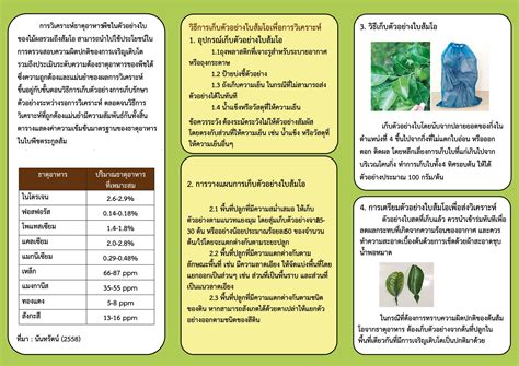 วิธีการเก็บตัวอย่างใบส้มโอเพื่อการวิเคราะห์ธาตุอาหาร สำนักวิจัยและ