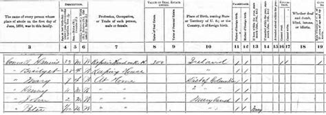 Unique 1870 U.S. Census Question Leads to New Records – The Genealogy Reporter