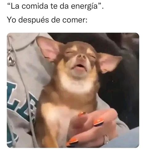 La comida te da energía Yo después de comer Memes