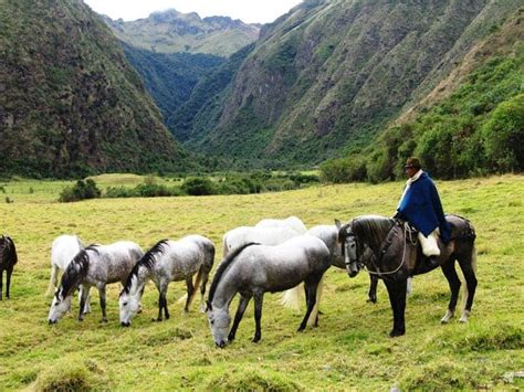 Guide To Largest Cities In Ecuador Population Elevation