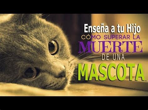 C Mo Ayudar A Tu Hijo A Lidiar Con La Muerte De Su Mascota Todosobrec Mo