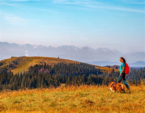 Wandern Am Feldberg Wanderwege Und Touren