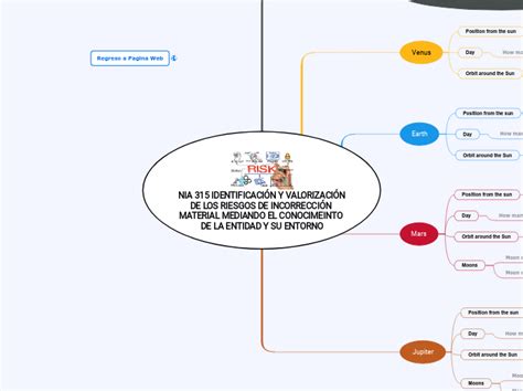 NIA 315 IDENTIFICACIÓN Y VALORIZACIÓN DE L Mind Map