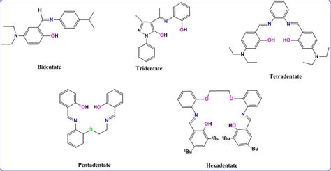 Schiff Bases And Their Metal Complexes Synthesis Structural