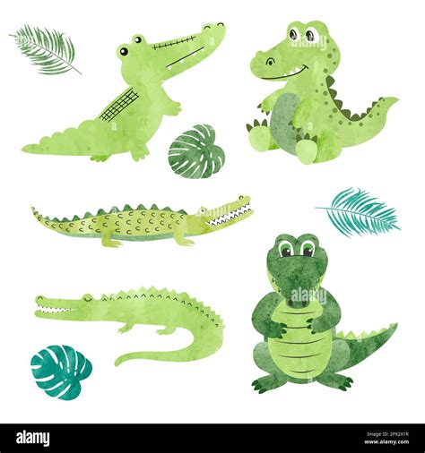 Set Of Watercolor Cartoon Crocodiles Vector Illustration Of Alligators