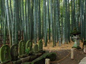 Best Temples And Shrines To Visit In Kamakura Trendy Life