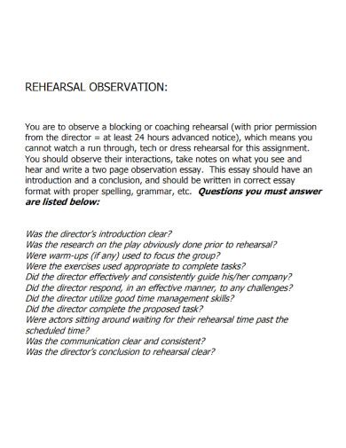 Observation Essay Examples Format How To Write Pdf