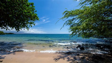 Spencer Beach Park Hawaii Travel Guide