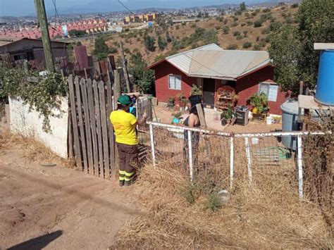 Conaf Refuerza Los Operativos Para Prevenir Incendios Forestales En La