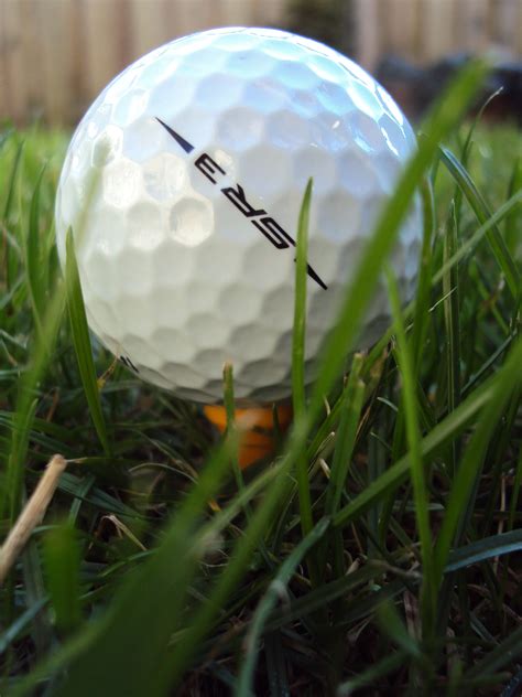 Free Images Grass Sport Play Flower Green Sports Equipment Golf