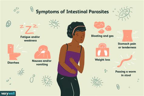 5 Natural Remedies for Intestinal Parasites