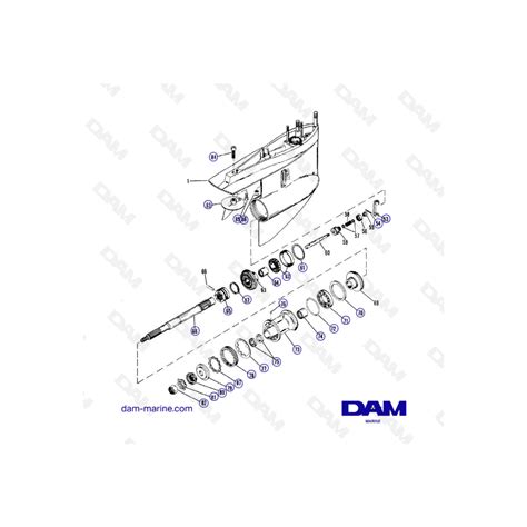 Vue Clat E Bas D Embase Alpha One G Dam Marine