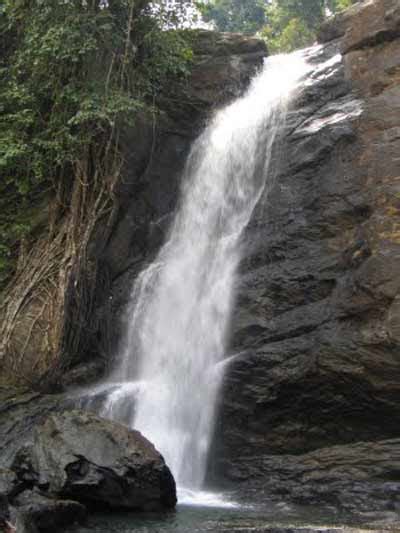 Soochipara Waterfall in Wayanad, Kerala | Keralaorbit