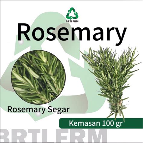 jual rosemary segar kemasan  gr shopee indonesia