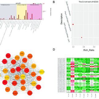 Analysis Of Genes Of Grey Module A Go Enrichment Analysis For All