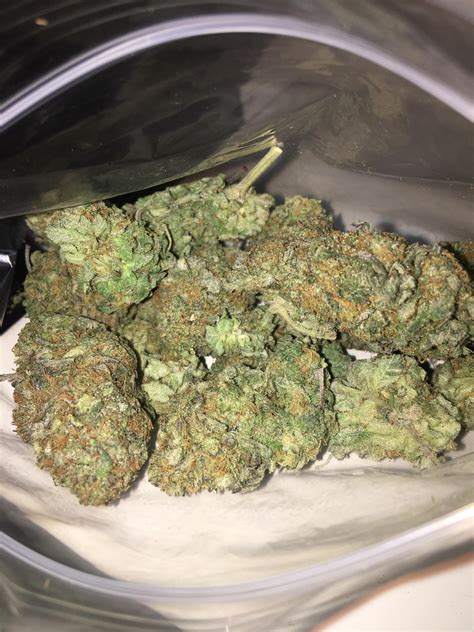 1/2 Oz of Gorilla Glue illegal state, after a long hiatus🙏 : r/trees