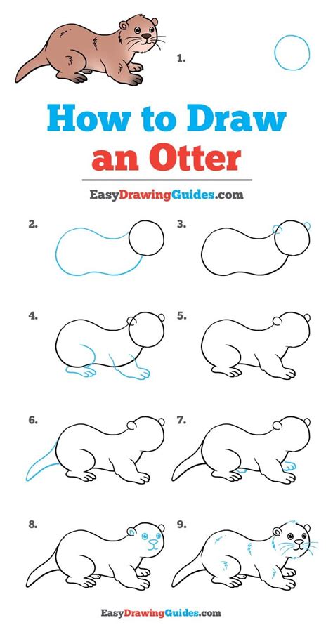 How To Draw A Sea Otter Easy