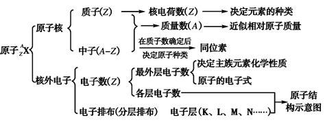 第十六讲 原子结构 原子核外电子排布word文档在线阅读与下载免费文档