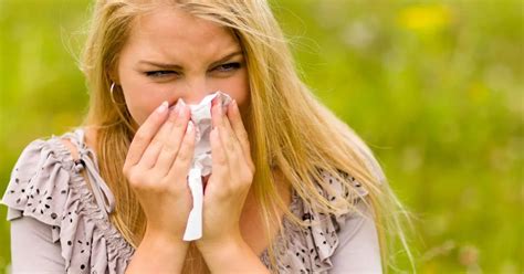 Hay Fever How Should You Fight Severe Symptoms And What Is The Best Way To Get Rid Of It