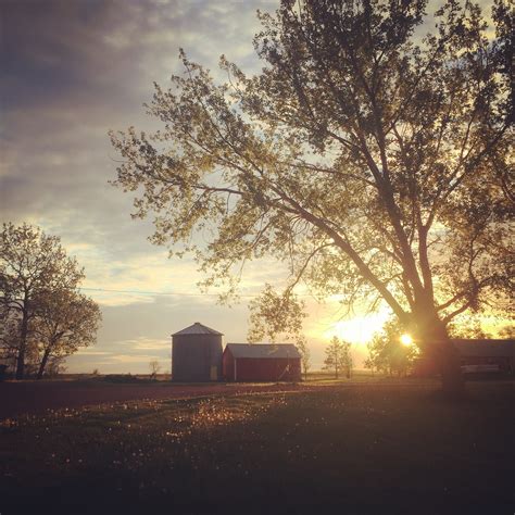 Do We Farm In Heaven” Dirt Roads Lead Me Home