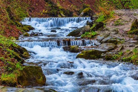 Rushing River At The Evening Stock Photo Image Of Forest Dramatic