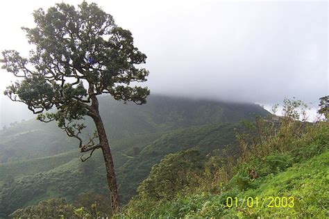 Indira Gandhi National Park In Tamilnadu Anamalai Tiger Reserve