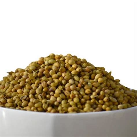 Dried Brown Organic Coriander Seeds At Rs 130 Kg In Satara ID