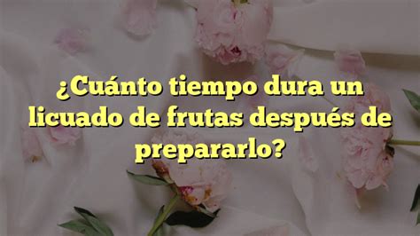 Cuánto Tiempo Dura Un Licuado De Frutas Después De Prepararlo