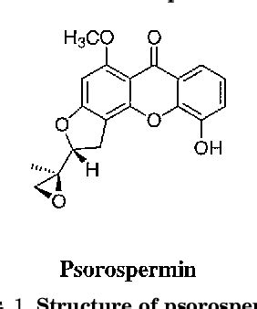 Figure From Topoisomerase Ii Site Directed Alkylation Of Dna By