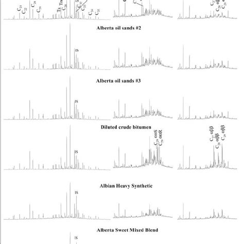 Gas Chromatographymass Spectrometry Gc Ms Chromatograms Of Biomarker Download Scientific