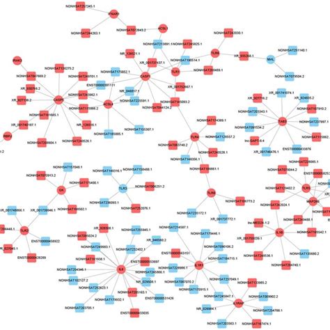 Lncrna Mrna Co Expression Network Analysis Of The Dcm Related Pathways