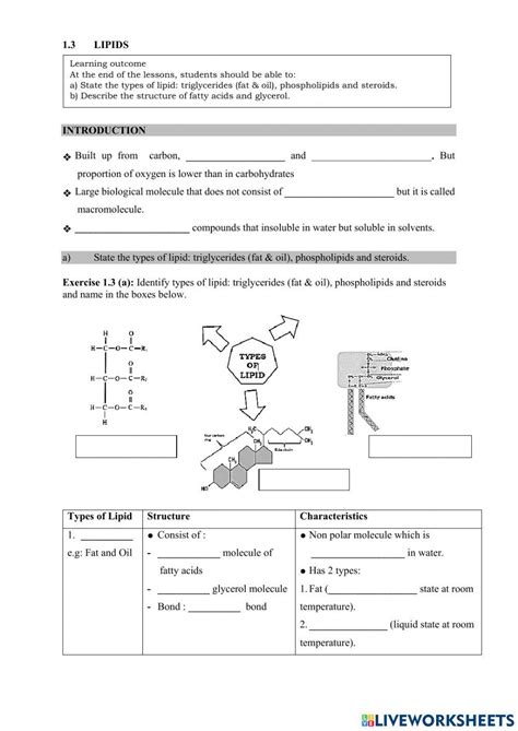 Fats A Type Of Lipid Organizer For 8th 9th Grade Lesson Planet