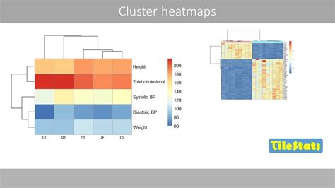 Understanding Cluster Heat Maps Youtube