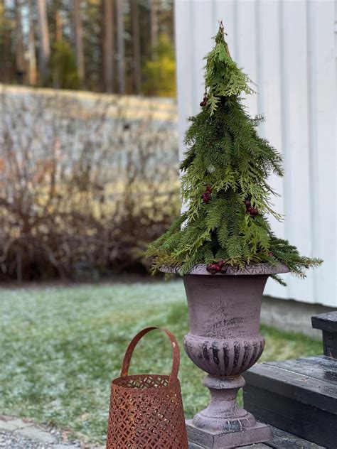 Så binder du en liten gran Hemma hos Helena