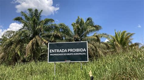 Brasil Guardias De Seguridad De Empresa De Aceite De Palma Disparan A