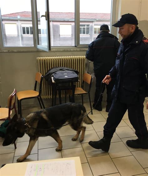 Operazione Antidroga Nelle Scuole Carabinieri Denunciano Tre Giovani