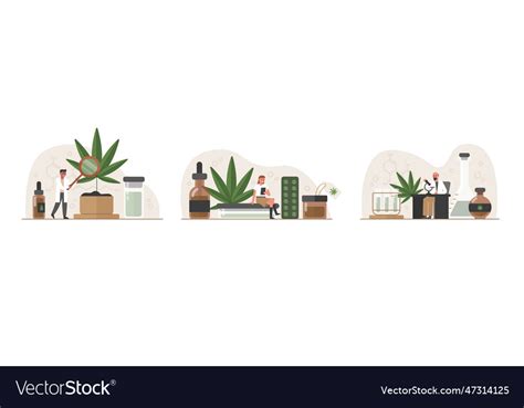 legalization  marijuana medical drug  vector image