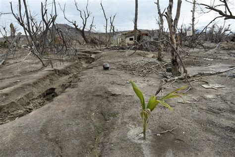 Life Goes On A Year After Taal Volcano Eruption Photos GMA News Online