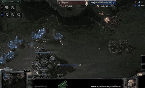 Starcraft Gifs Page Wifflegif