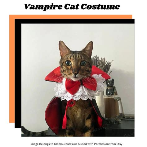 Best Halloween Costumes For Cats Budget Earth
