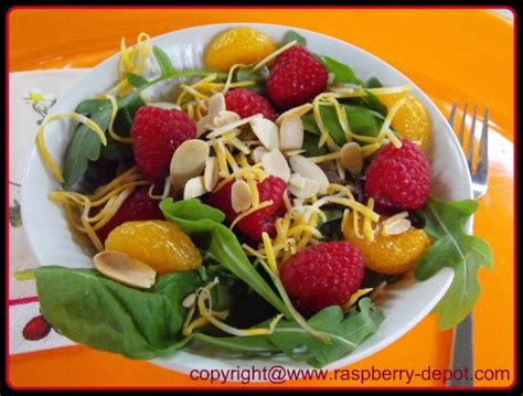 Fresh Raspberry Salad Recipe with Mandarin Oranges and Leafy Greens