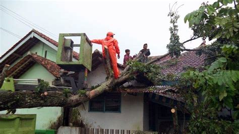 17 Rumah Rusak Tertimpa Pohon Tumbang Angin Kencang Terjang 3