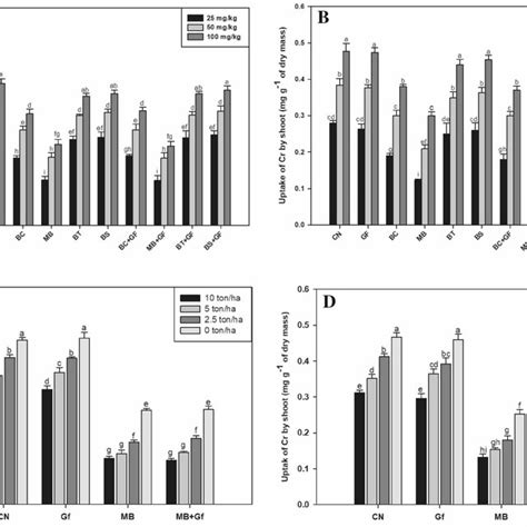 Effect Of Bioinoculants On A Uptake Of Cr By Root And B Uptake Of