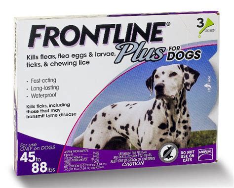 Fipronil For Dogs - Your Questions Answered - The Labrador Site