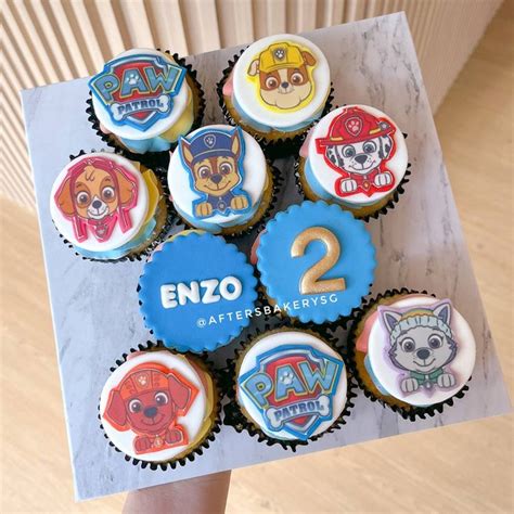 Skye Everest Paw Patrol Cake Afters Bakery